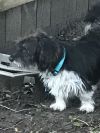 Gavin photo 3