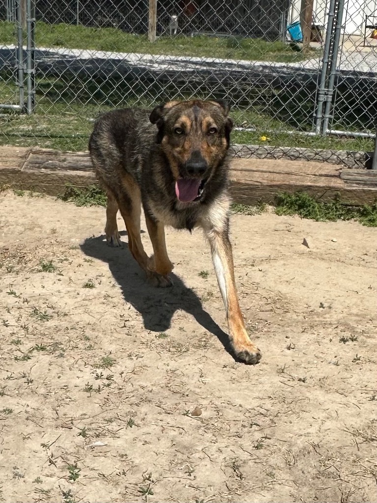 Leo