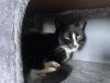 Max photo 1