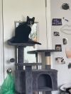 Max photo 4