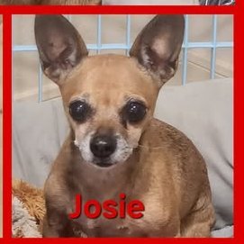 Josie