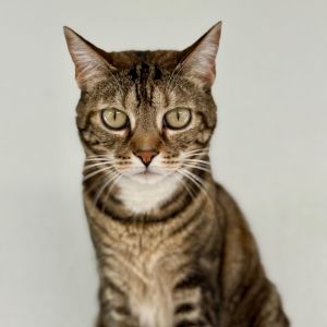 Cinnabon, Young Female unknown