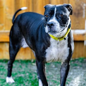 Charlotte, Senior Female unknown