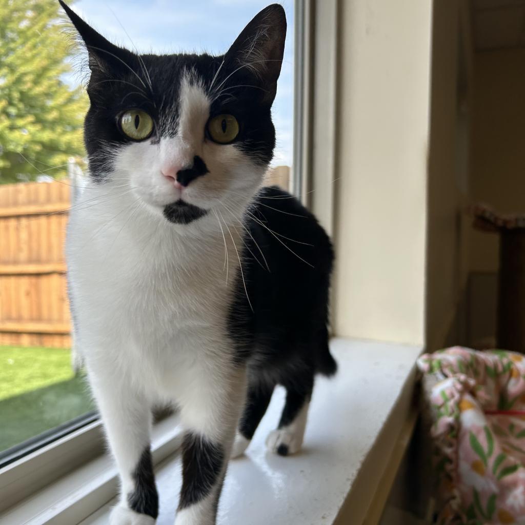 Coco