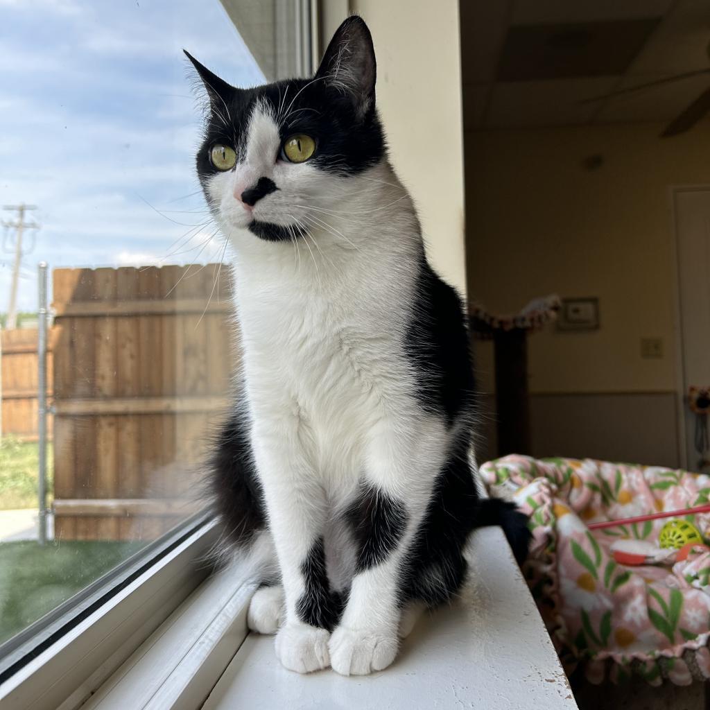 Coco