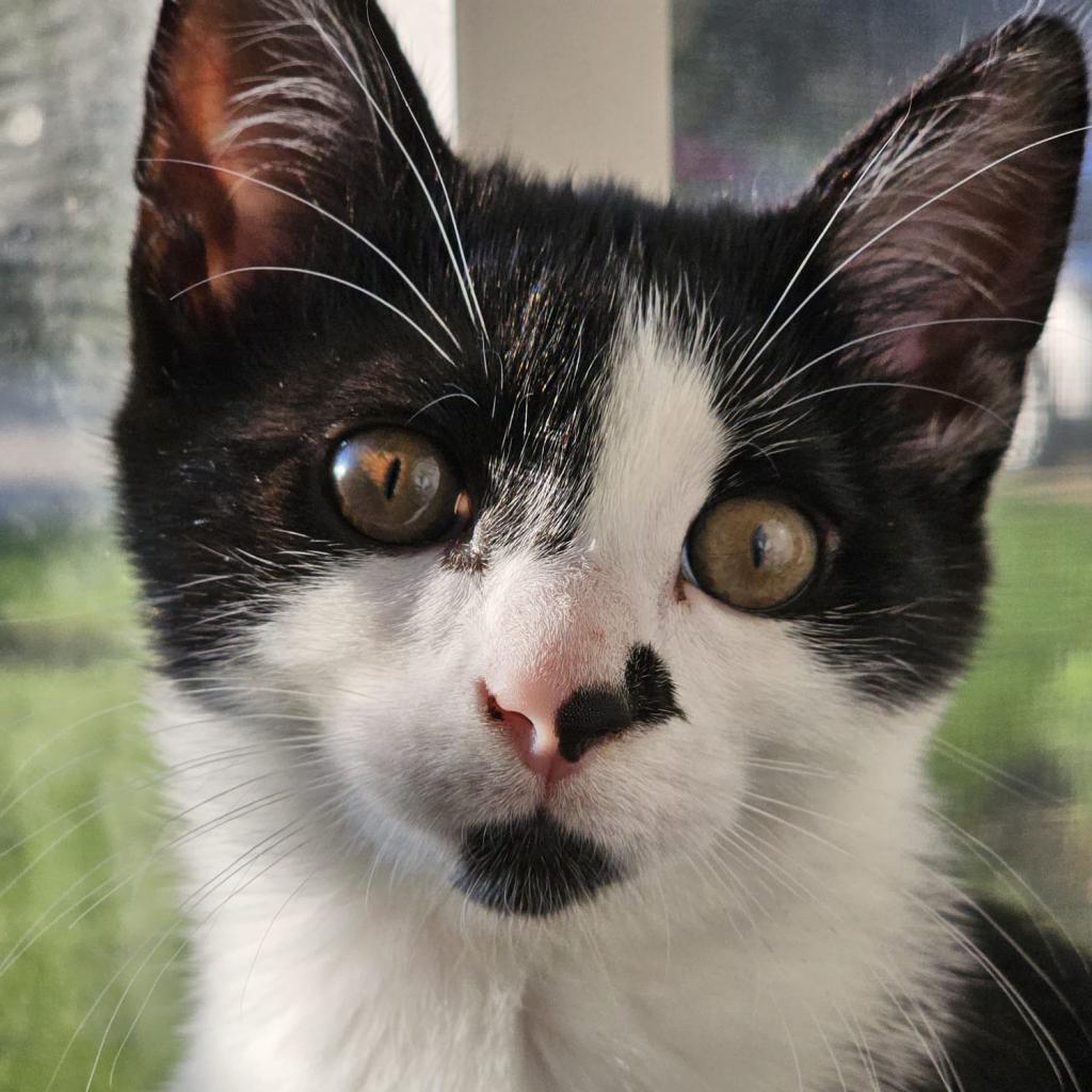 Coco