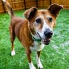 Nala photo 4