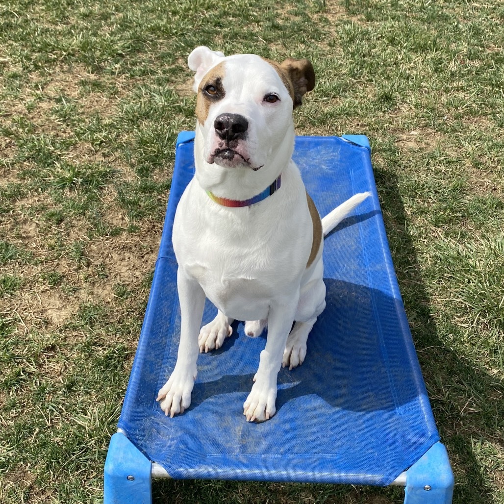 Petey