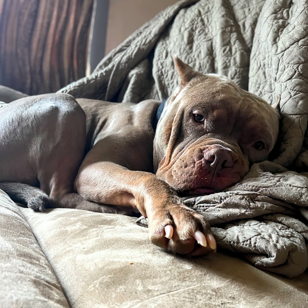 Keelo