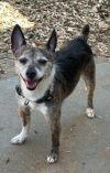 Max photo 1
