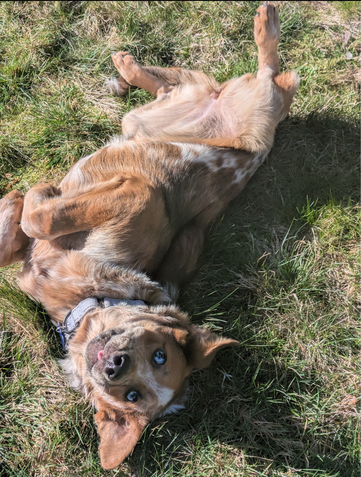 Rusty