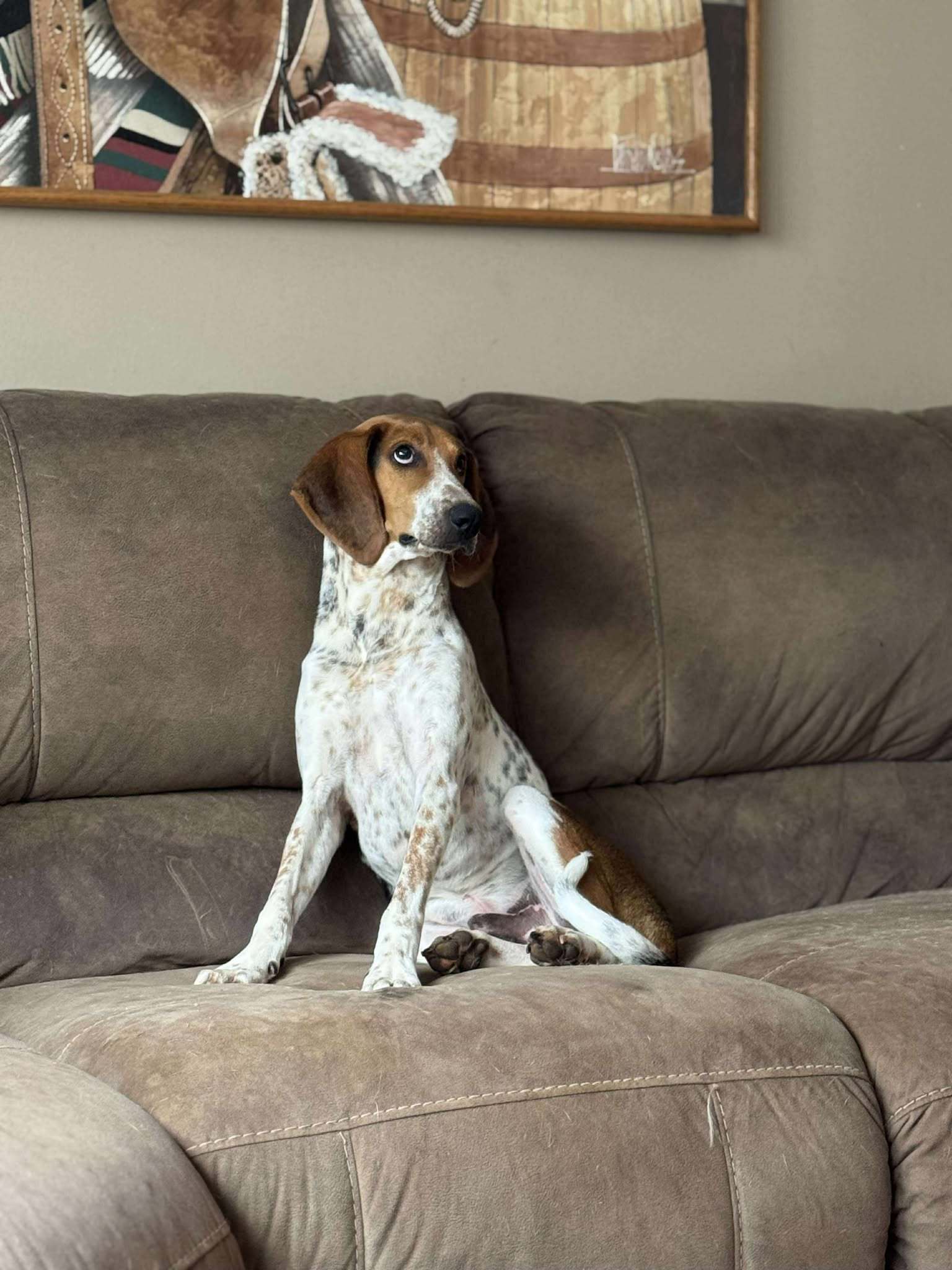 Bobby: Not At the shelter (Stacey)