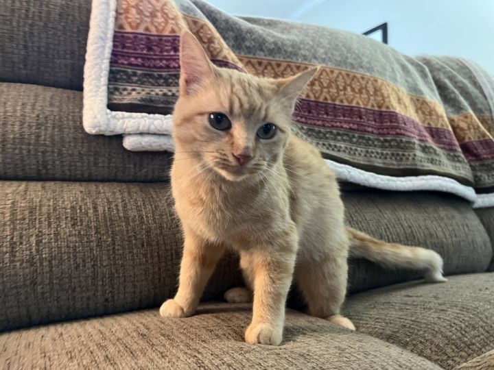 Peaches 1