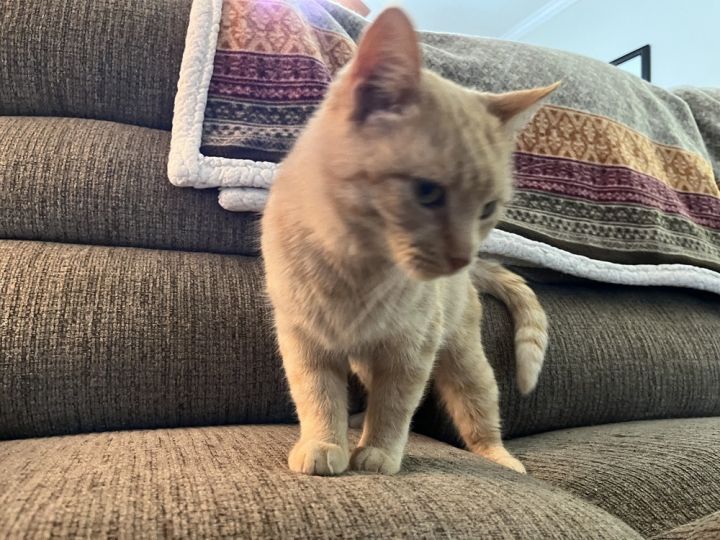 Peaches 2