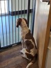 Little girl photo 2