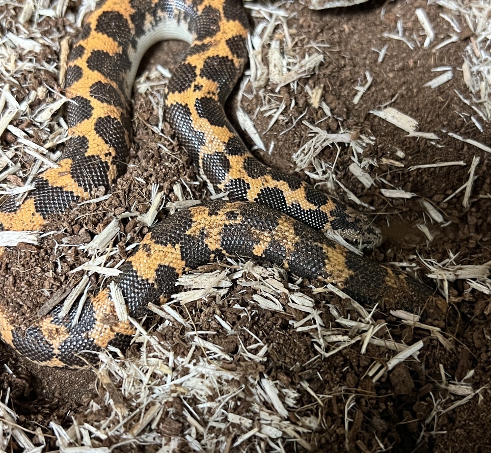 Al