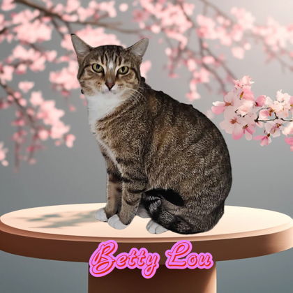Betty Lou