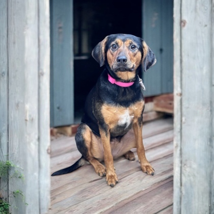 Georgia
