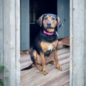 Georgia