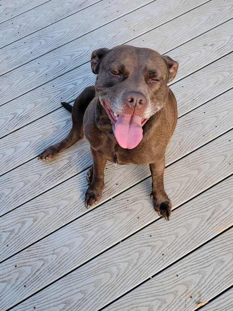 Belle (bonded with Finnik)