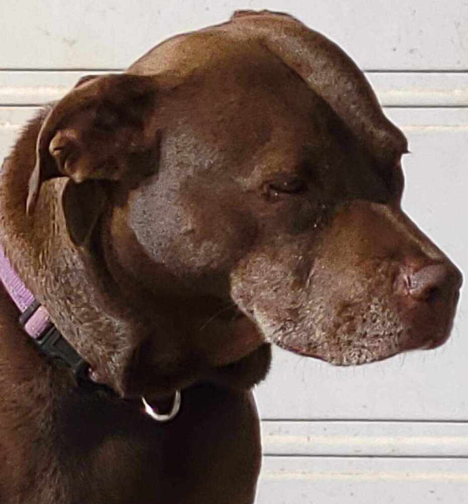 Belle (bonded with Finnik)