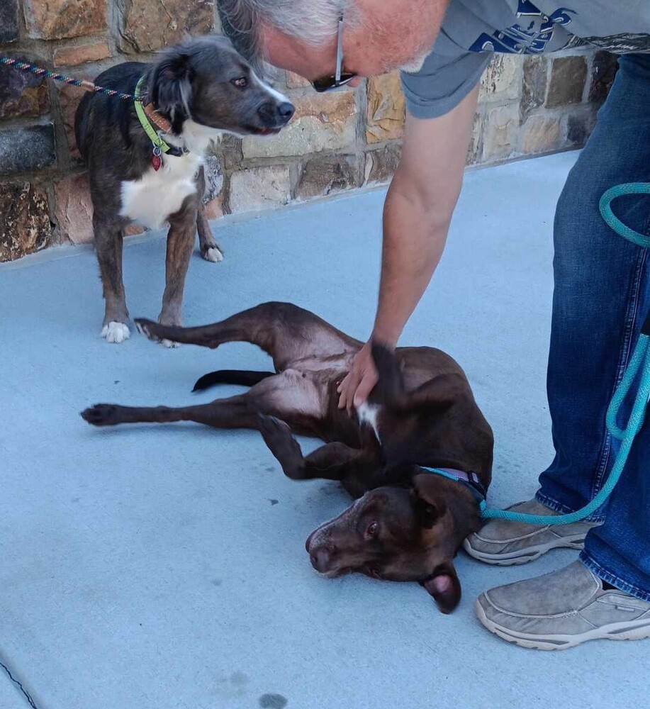 Belle (bonded with Finnik)
