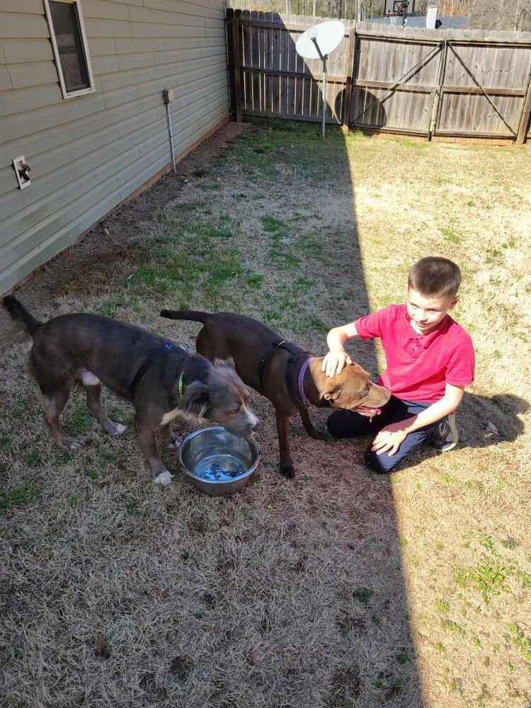 Belle (bonded with Finnik)