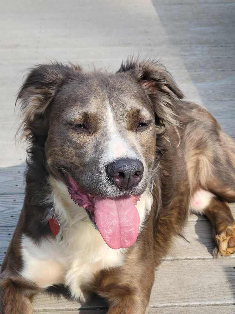 Finnik (bonded with Belle)