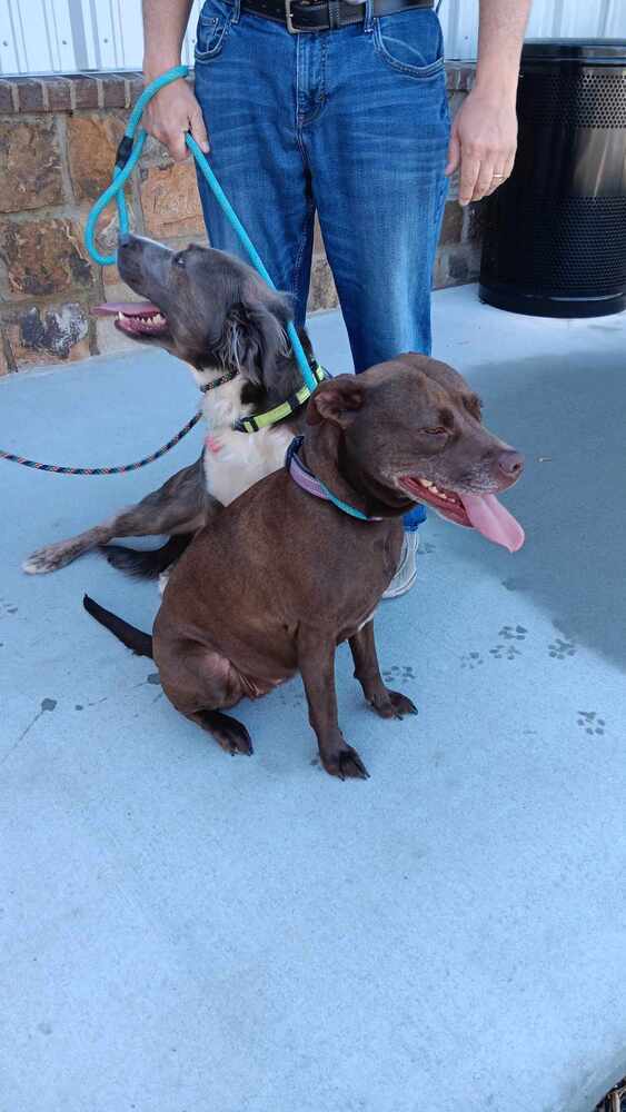 Finnik (bonded with Belle)