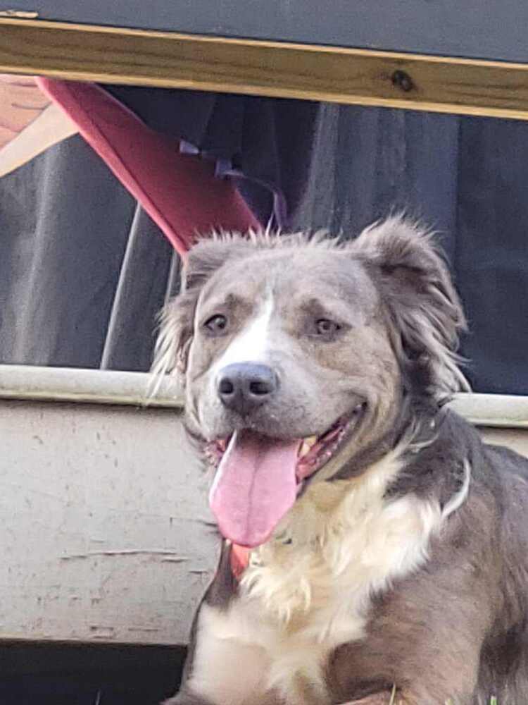 Finnik (bonded with Belle)