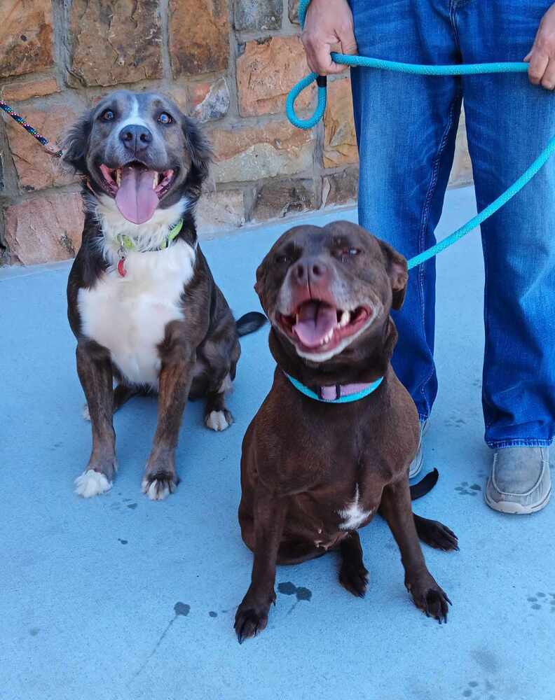Finnik (bonded with Belle)
