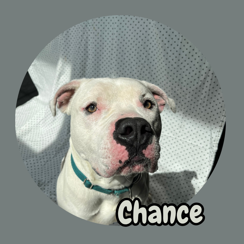 Chance