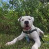 Chance photo 1