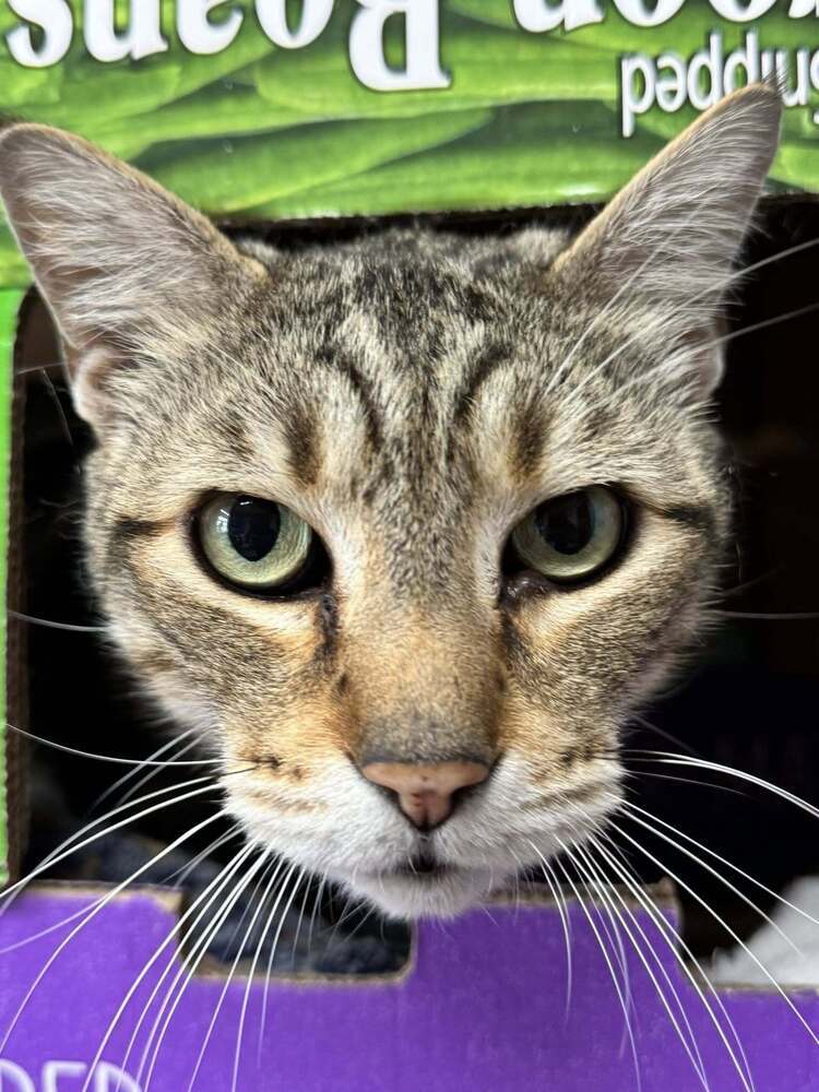 Riley
