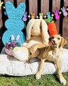 Happy photo 6