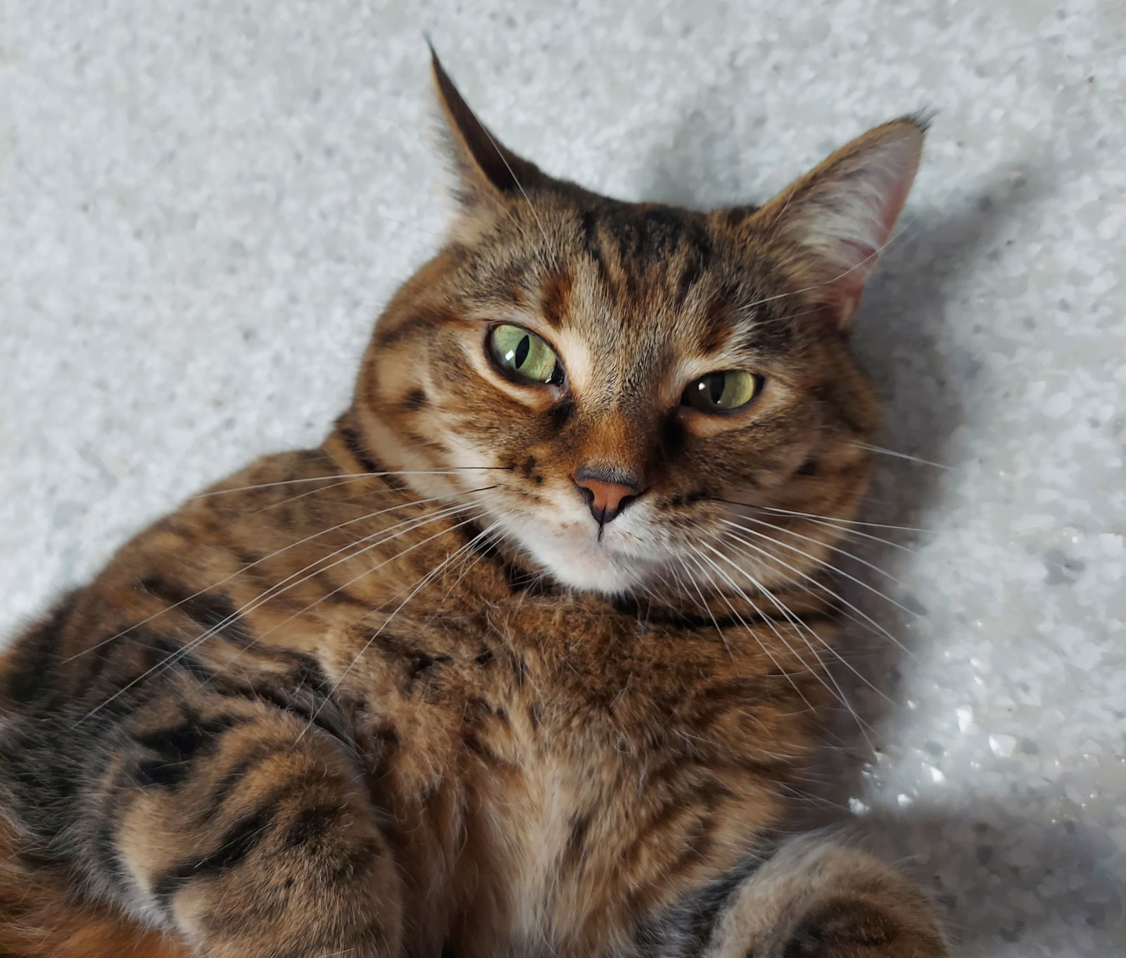 Maggie