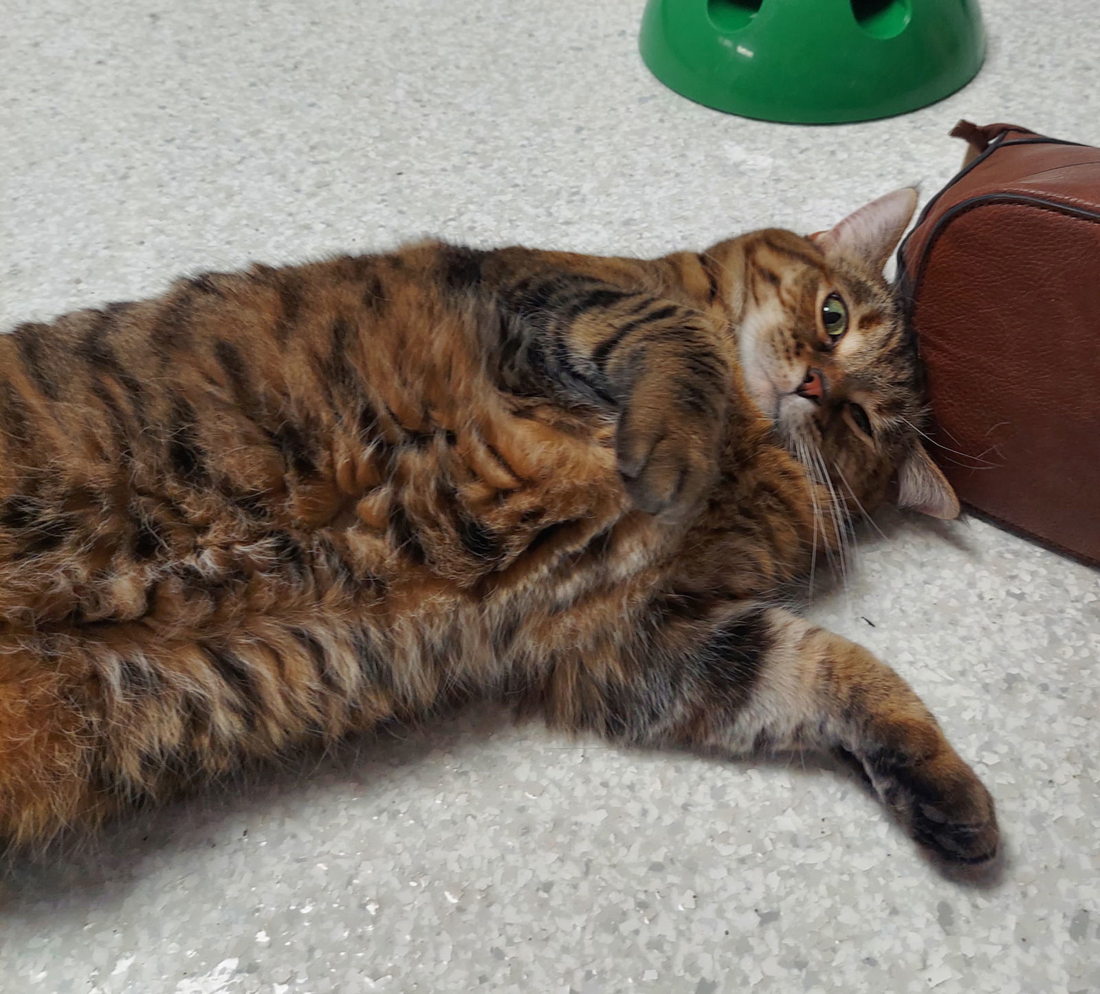 Maggie