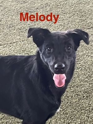 Melody, Young Female unknown