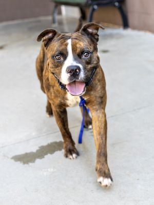 Spruce had his glamour photos taken recently and we have to say that boy is so fine Hes a handso