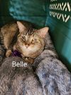 Belle photo 4