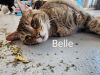 Belle photo 5
