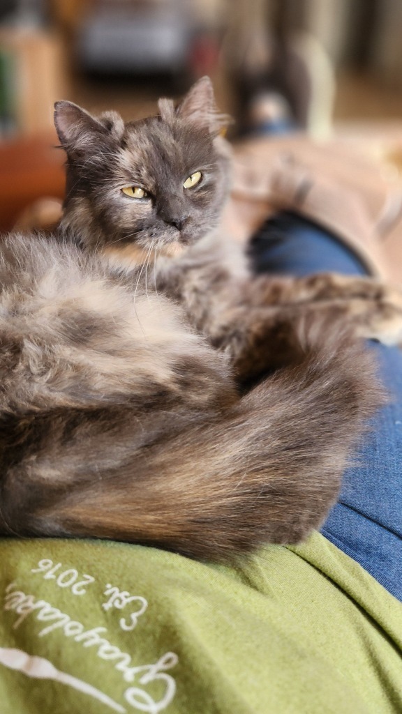 Sally