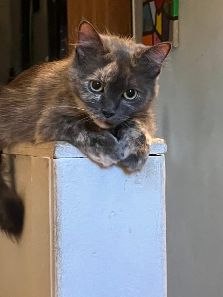 Sally