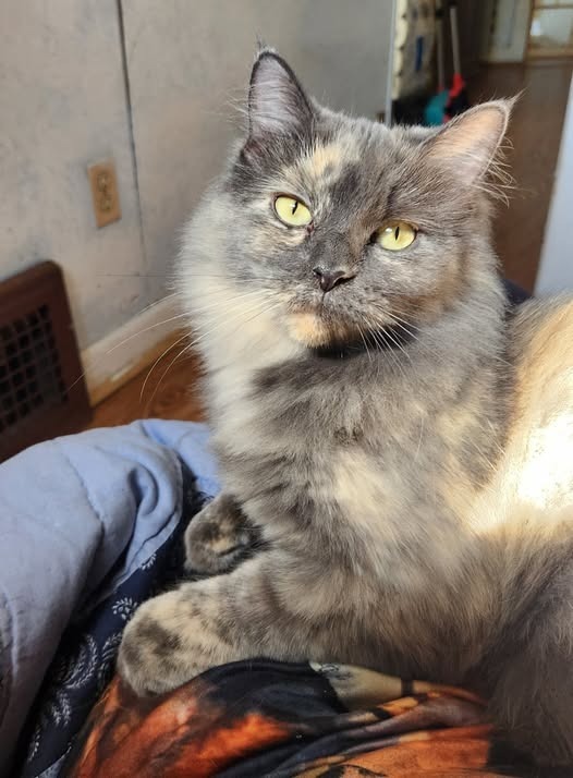 Sally