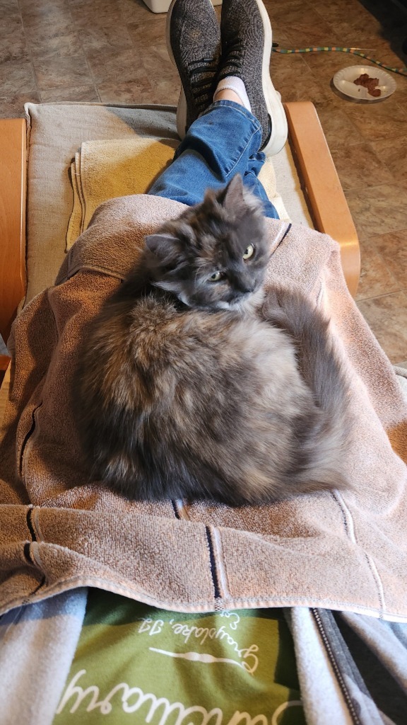 Sally