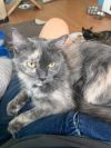 Sally photo 5
