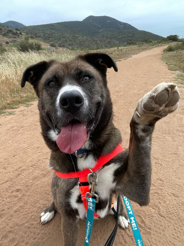 Coco
