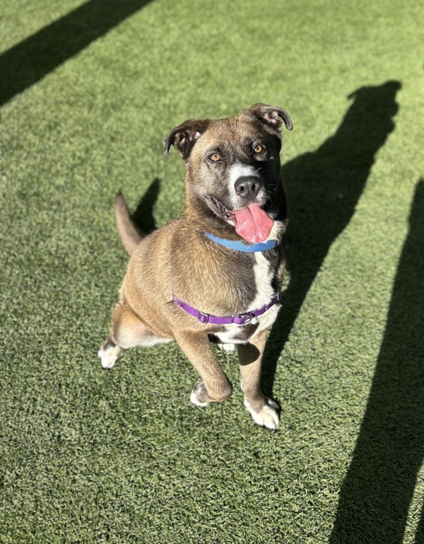 Coco