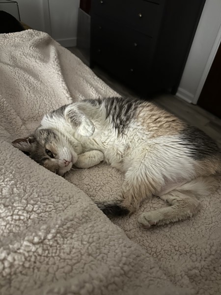 Smooshie