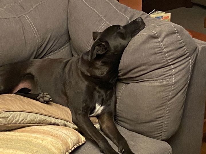 KODA #2 1